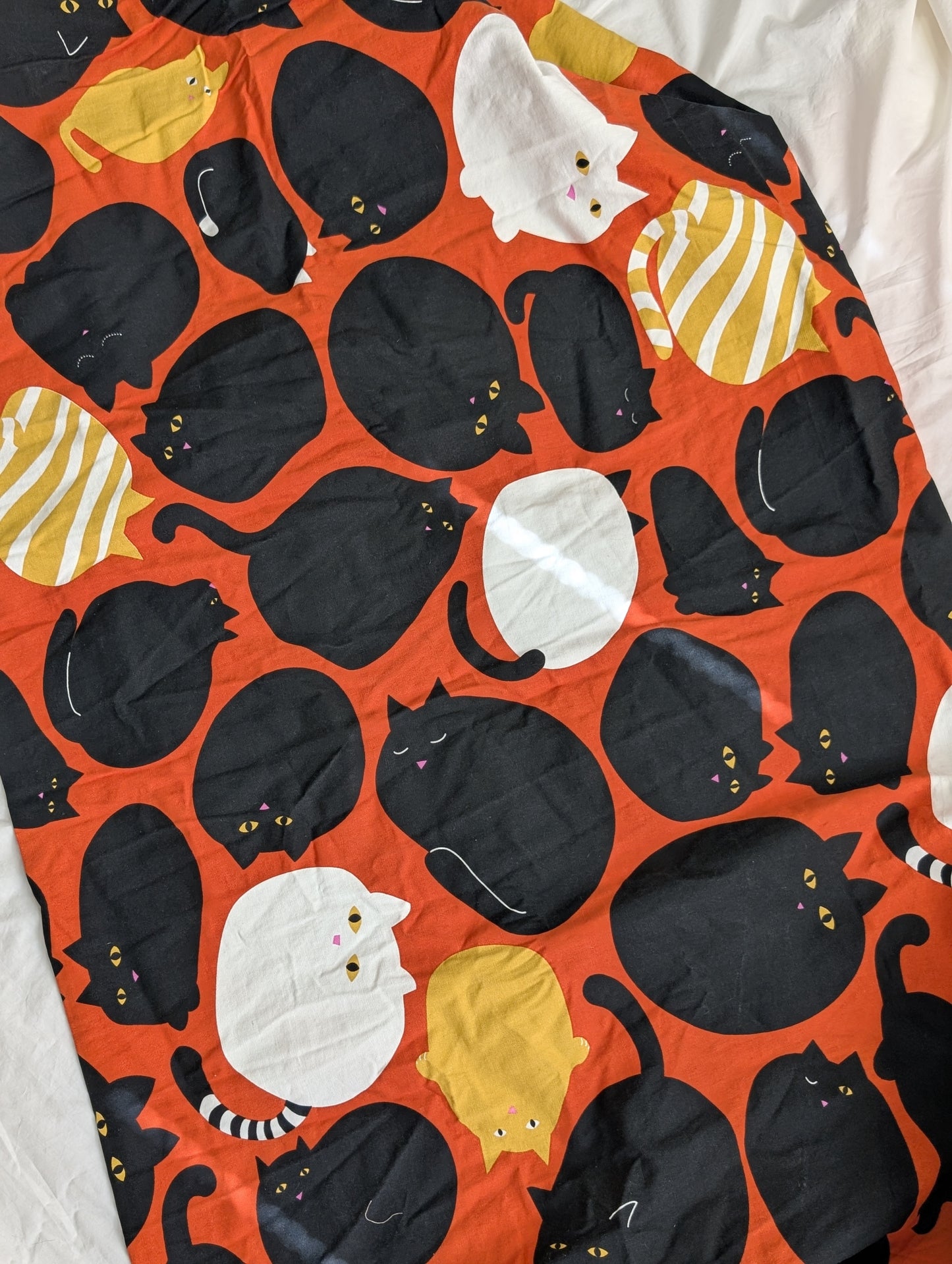 Hallow-kitties