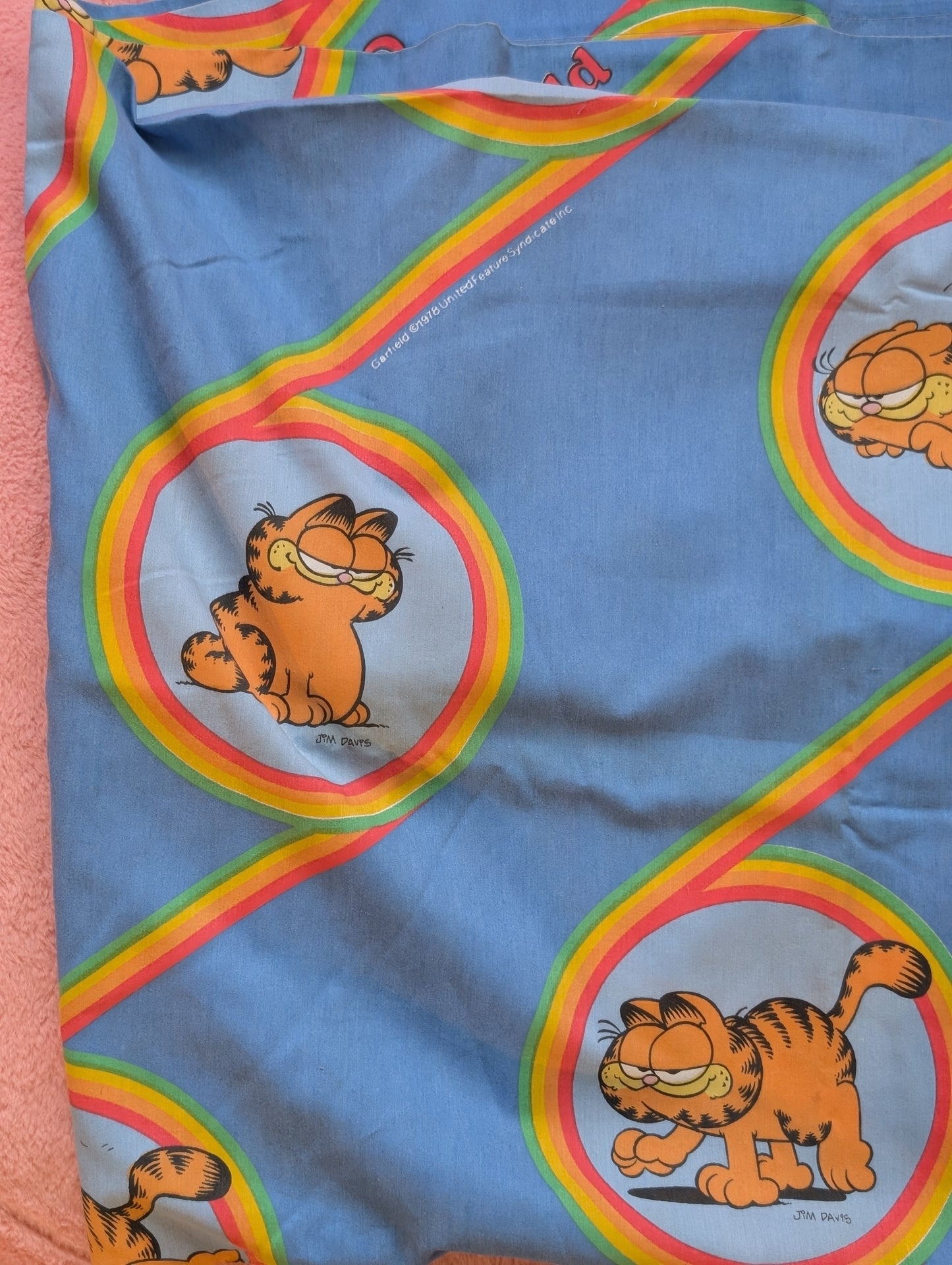 Lasagna Cat (1978)