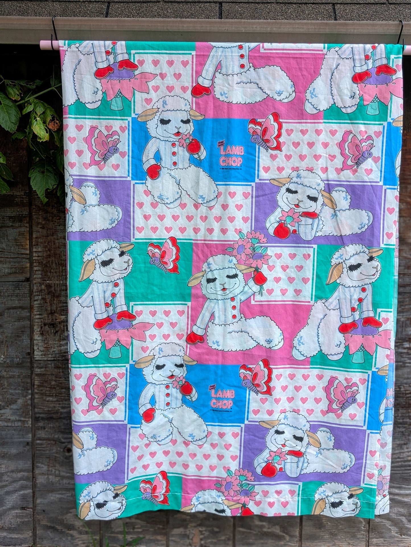 Lamb Diva (1993)