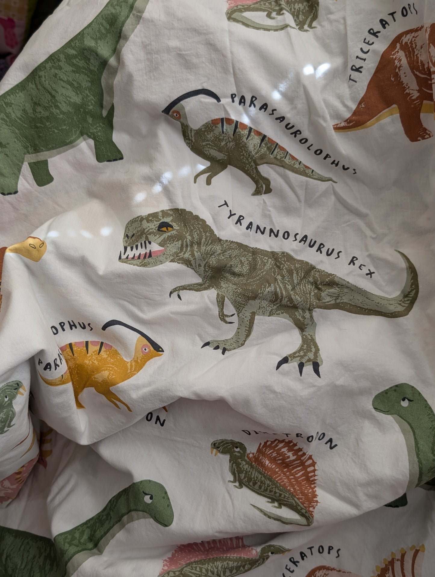 Dino Friends