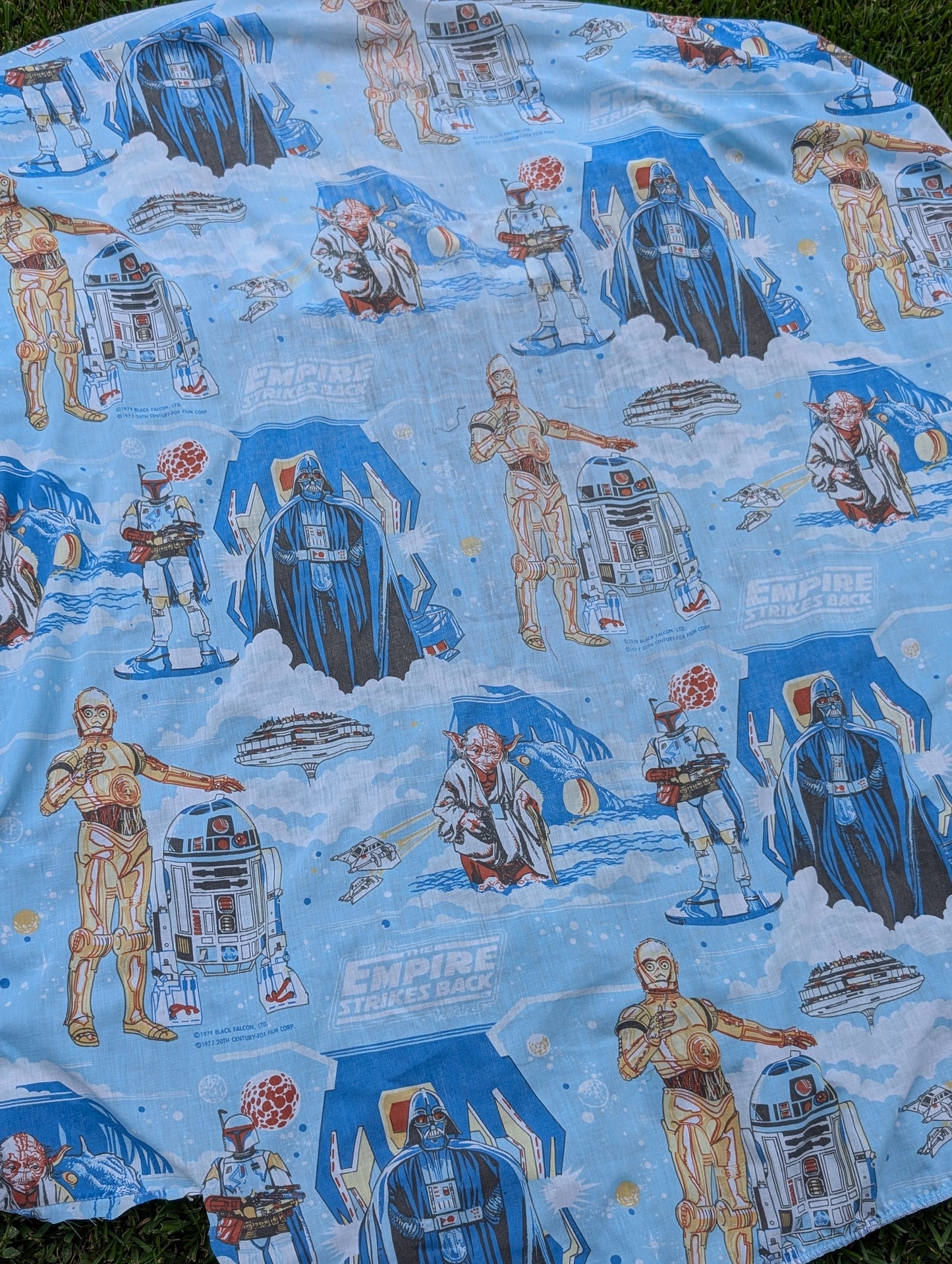 Strikes Back (1979)