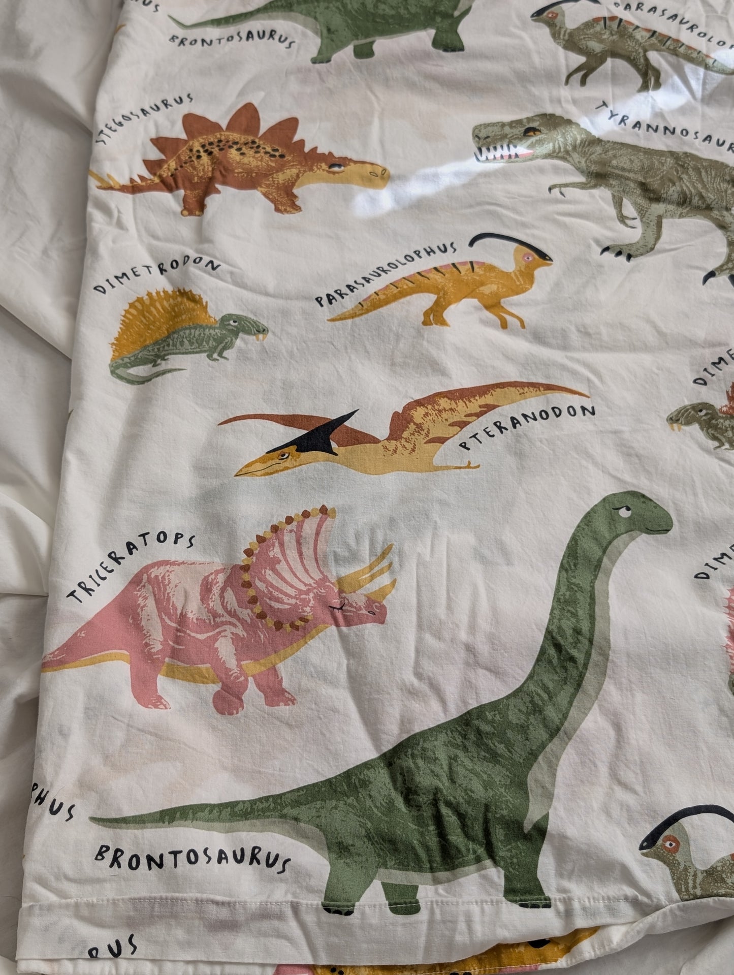 Dino Friends