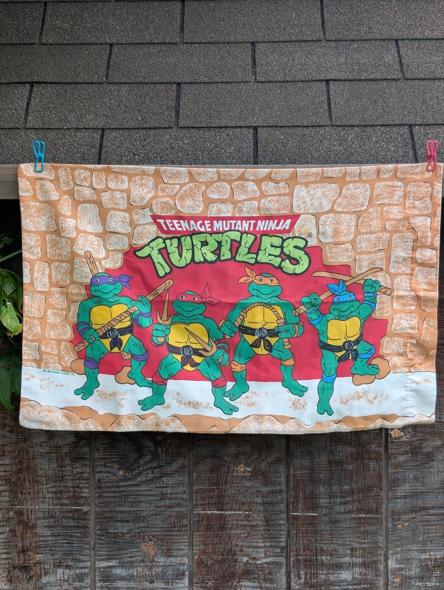 Pizza Ninjas (1988)