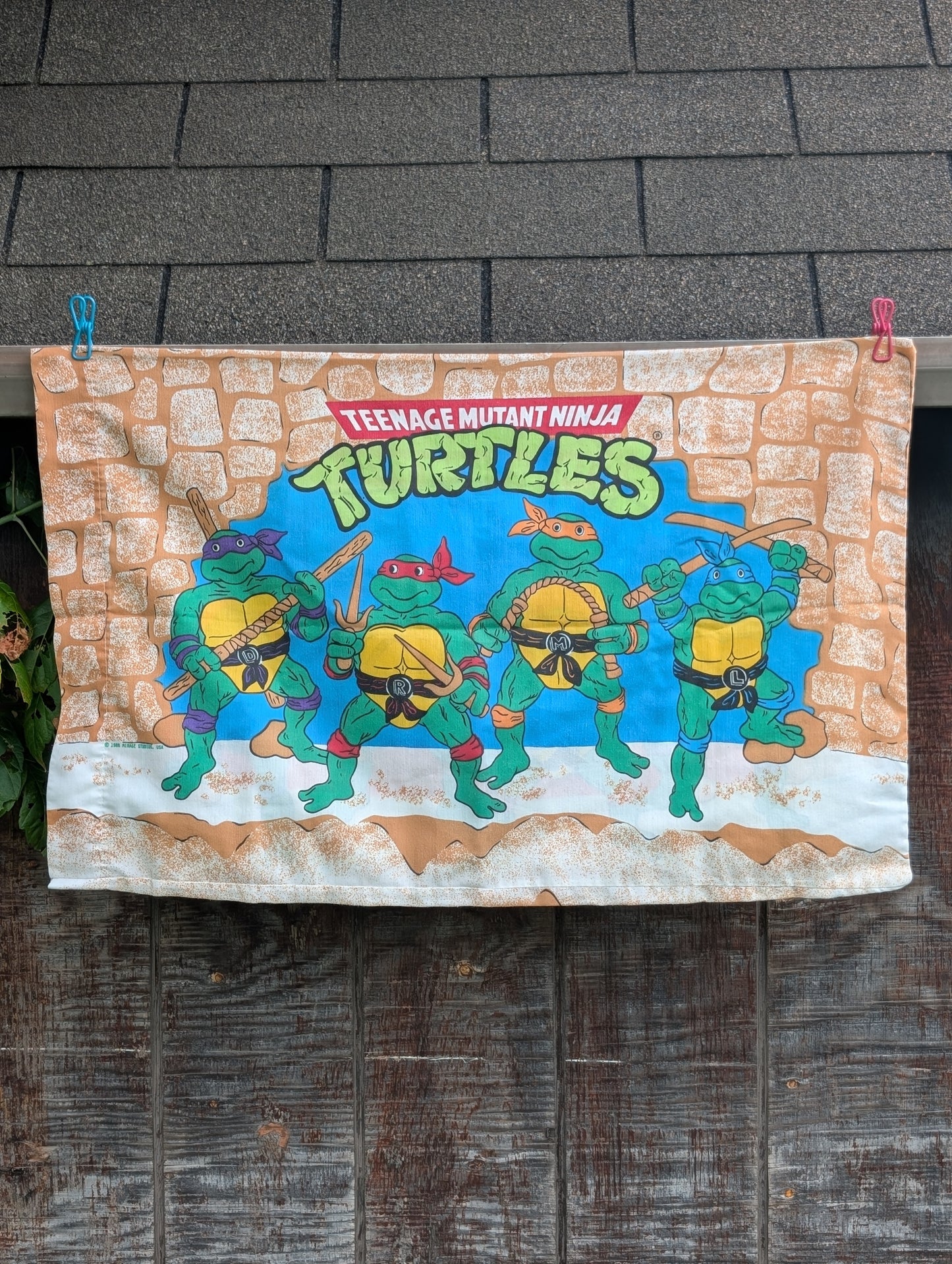 Pizza Ninjas (1988)