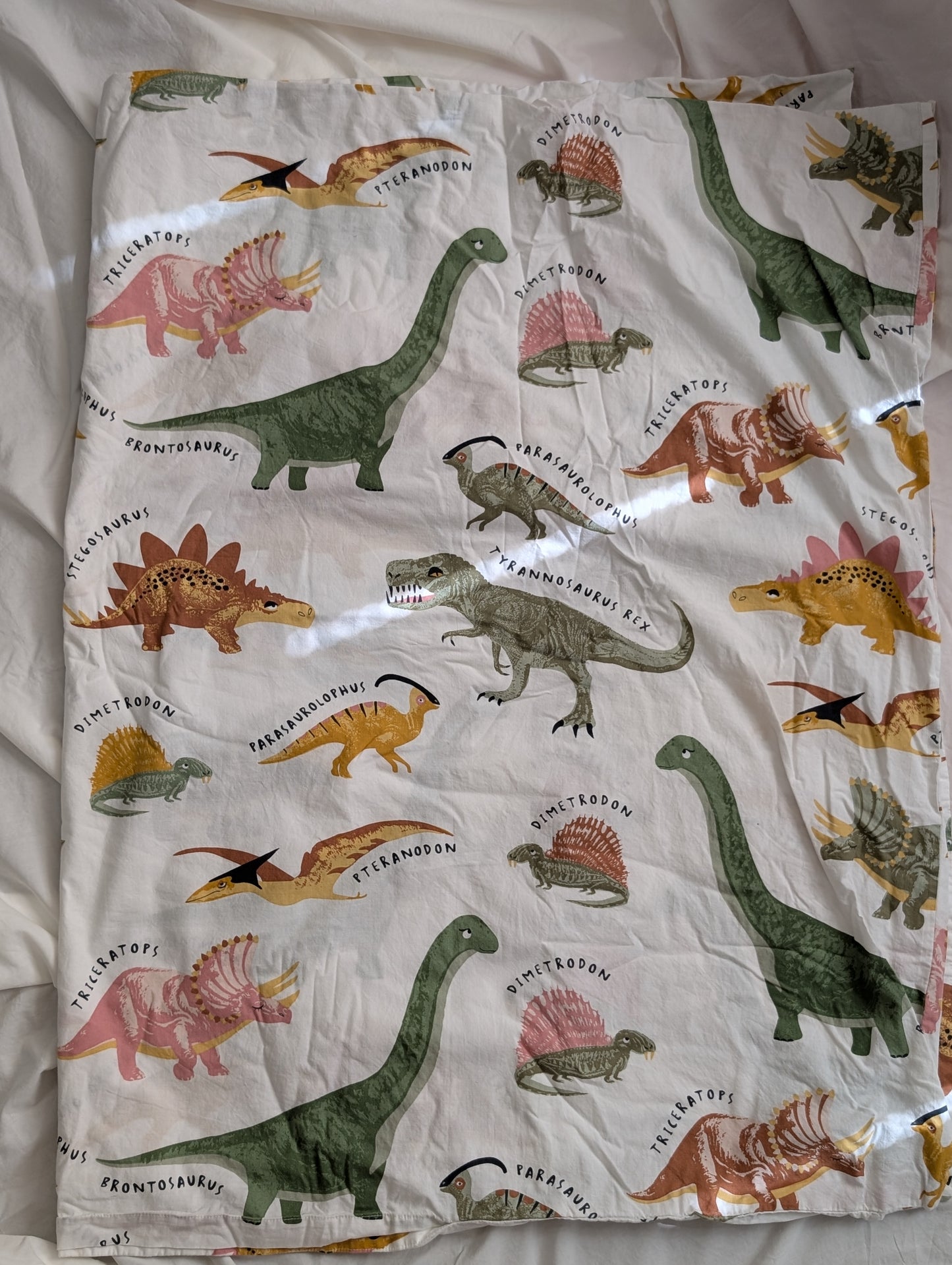 Dino Friends