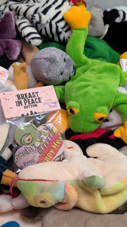 Smoochy the Frog 🧸