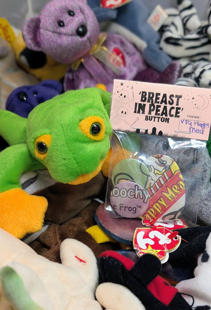 Smoochy the Frog 🧸