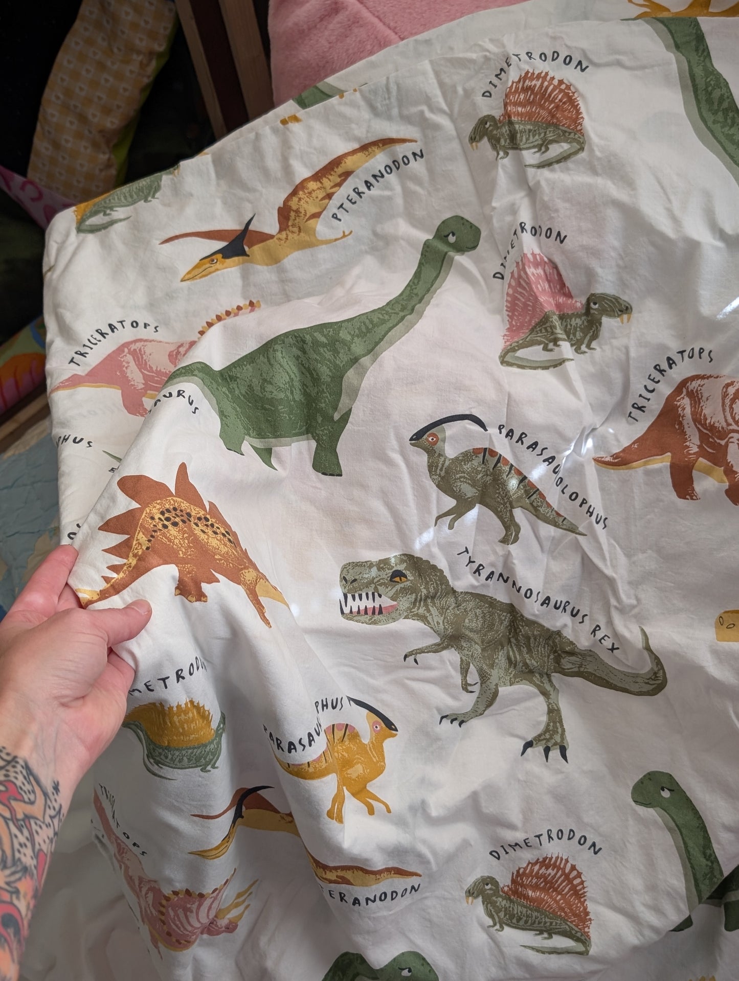 Dino Friends