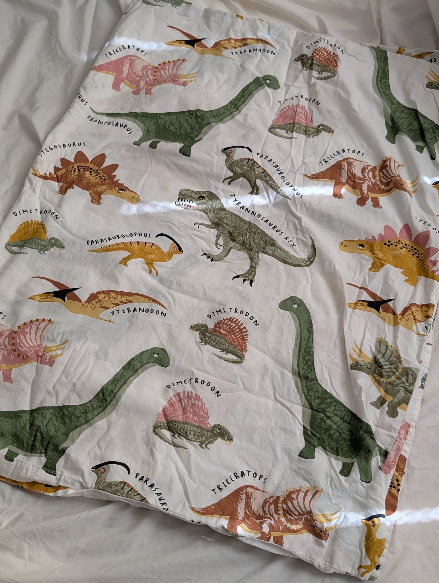 Dino Friends