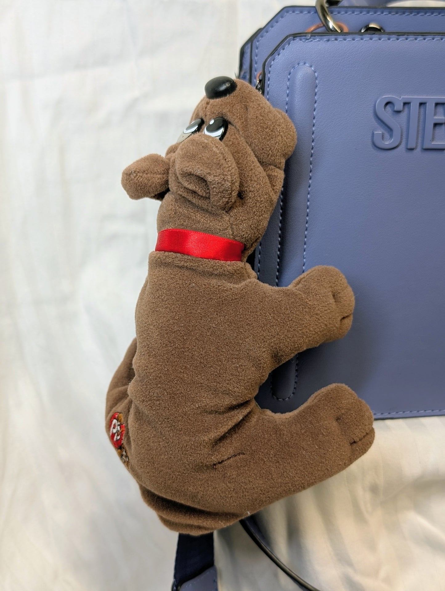 Brown Pound Pup
