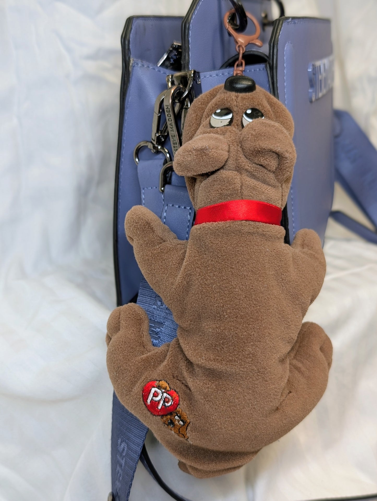Brown Pound Pup