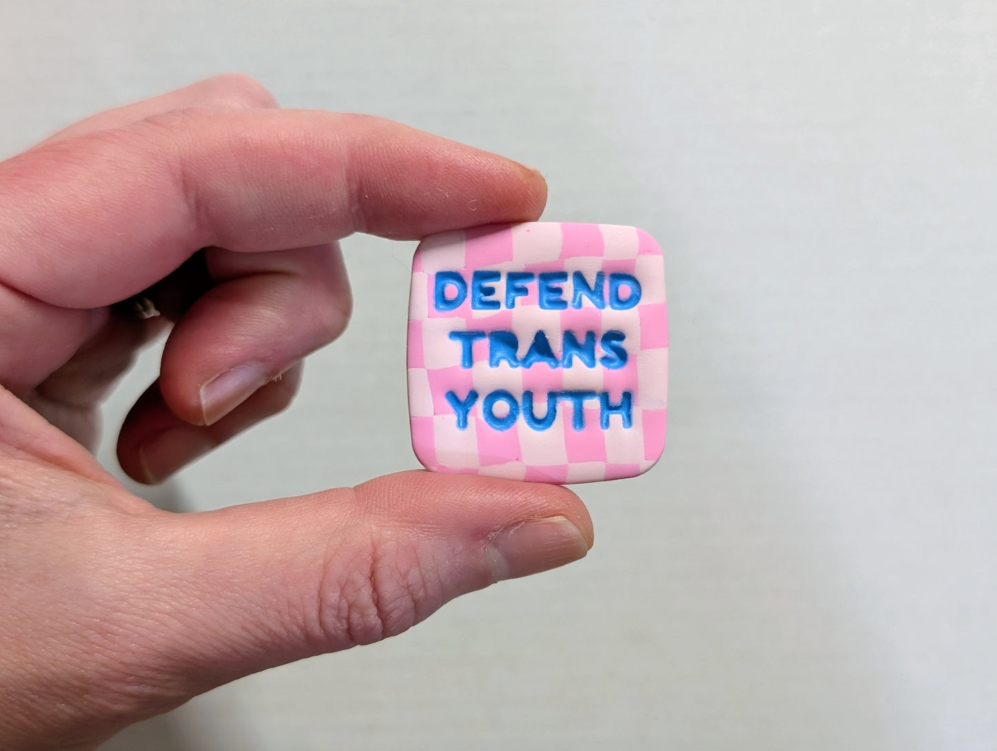 DEFEND TRANS YOUTH 🧲 - Pink Checks